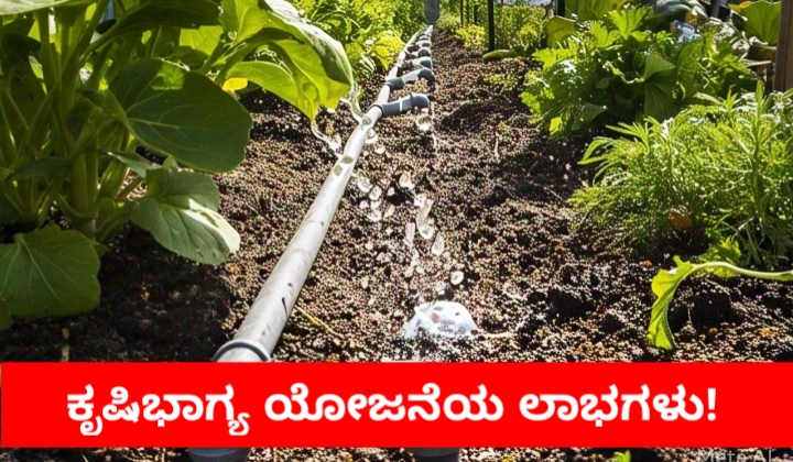 ಕೃಷಿ ಭಾಗ್ಯ ಯೋಜನೆಯ ಲಾಭಗಳು
